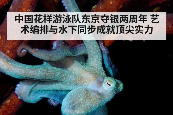 中国花样游泳队东京夺银两周年 艺术编排与水下同步成就顶尖实力